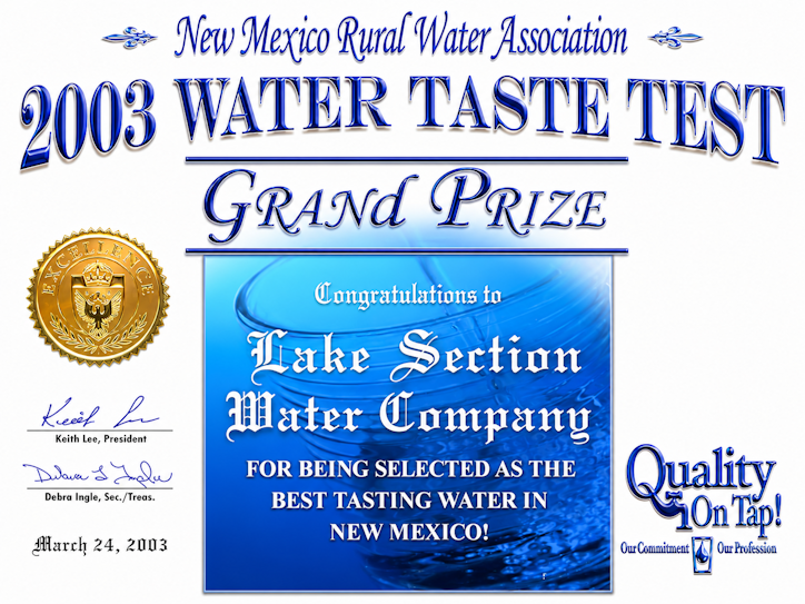 nmrwa 2003 award page1 sm